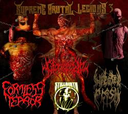 Infected Flesh : Supreme Brutal Legions Vol.3